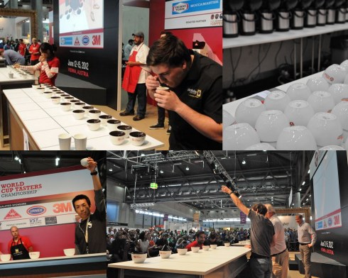 Photo credit: Amanda Wilson and Rick Forrestal