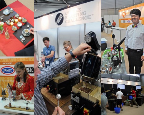 Photo credit: Amanda Wilson and Rick Forrestal